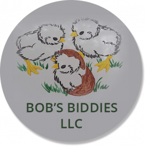 Bobs Biddies LLC LOGO