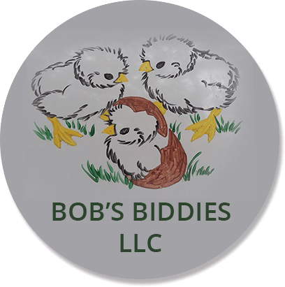 Bobs Biddies LLC LOGO